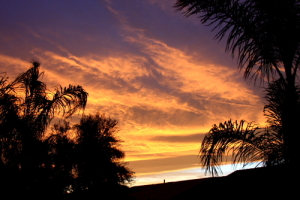 Christmas 2010 Sunrise