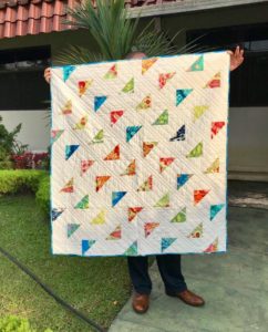 Flying Triangles Baby Quilt top outdoor